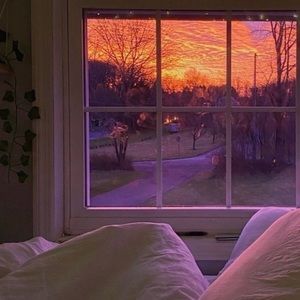 Meet your Posher, Maggie